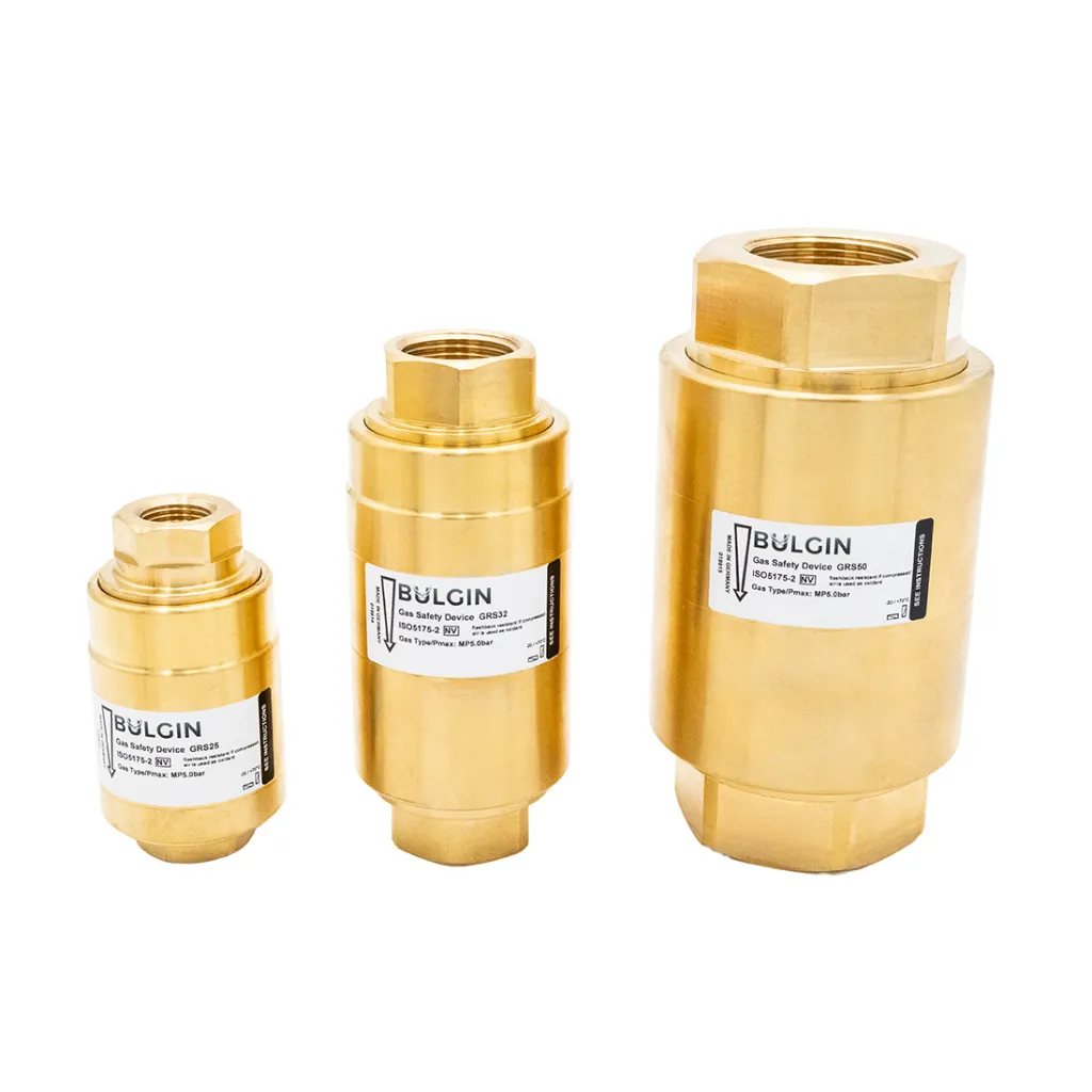 [GRS Series] Gas Non-Return Vlaves_Web.webp