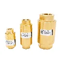 [GRS Series] Gas Non-Return Vlaves_Web.webp