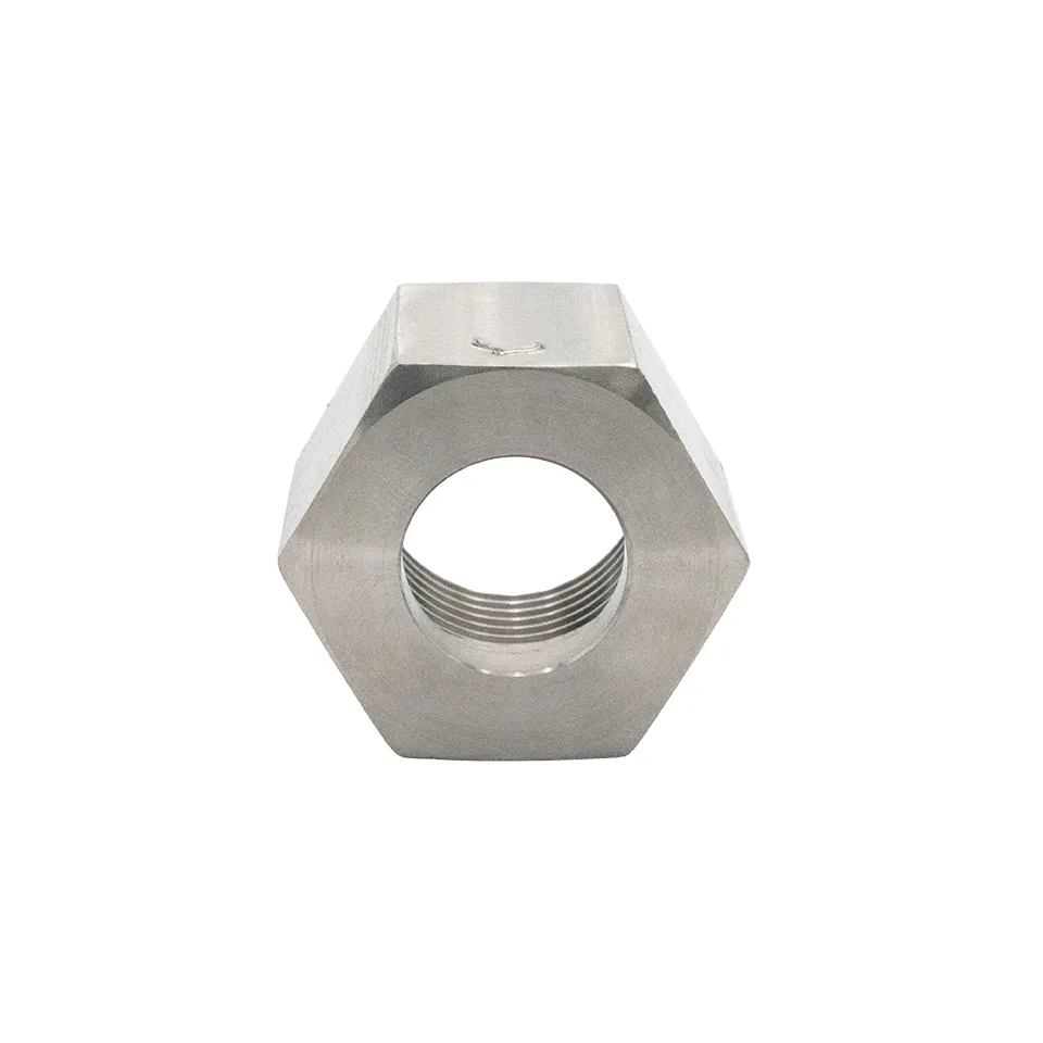 [647-00011] Type 50 Nut Stainless Steel AS2473.2_3_Web.webp