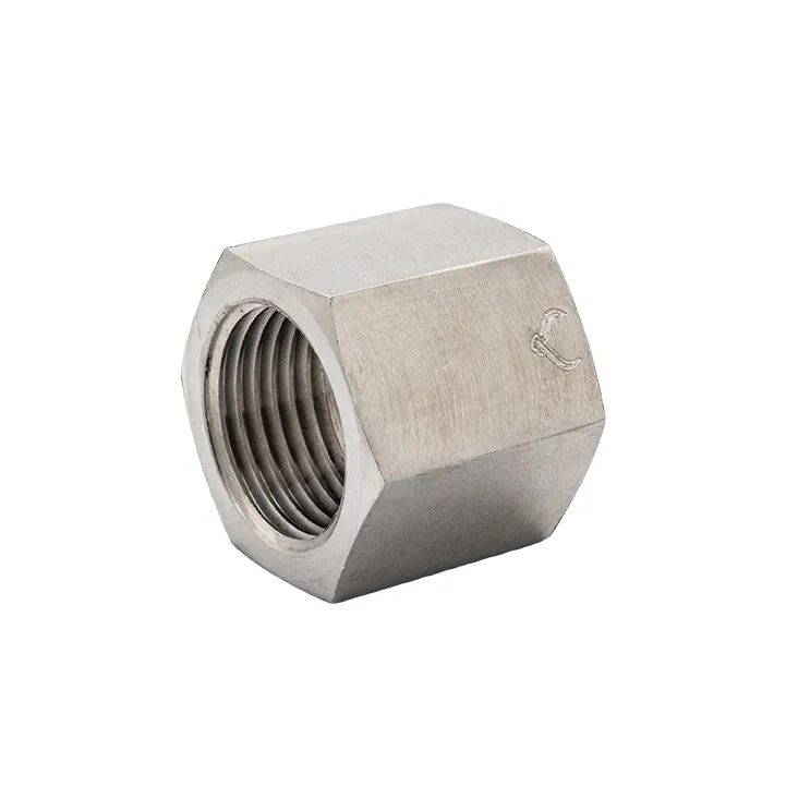 [647-00011] Type 50 Nut Stainless Steel AS2473.2_2_Web.webp
