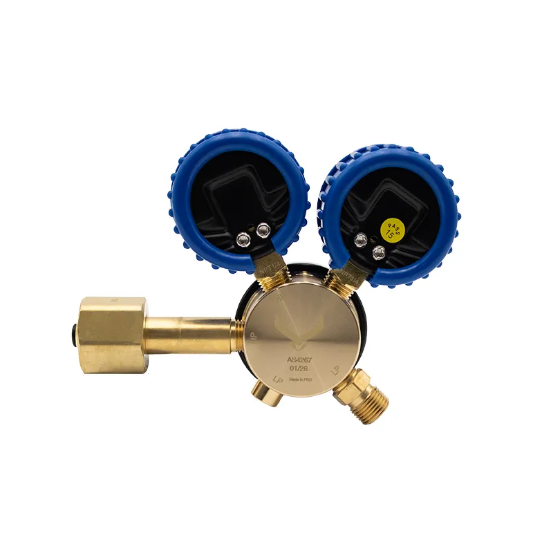 [540-00005] Nitrogen Regulator 0-1,000kPa Side Entry AS 4267_4_Web.webp
