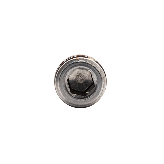 [674-25010] SS316 Hollow Hex Blanking Plug 1-4 NPT (Male)_2_Web.jpg