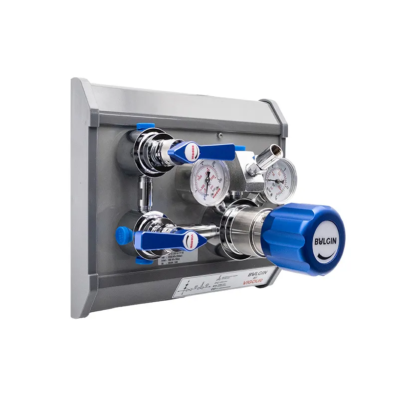[642-25001] High Purity Panel - Single, Chrome Plated Inlet 20,000kPa Outlet 0-1,000kPa_2_Web.webp
