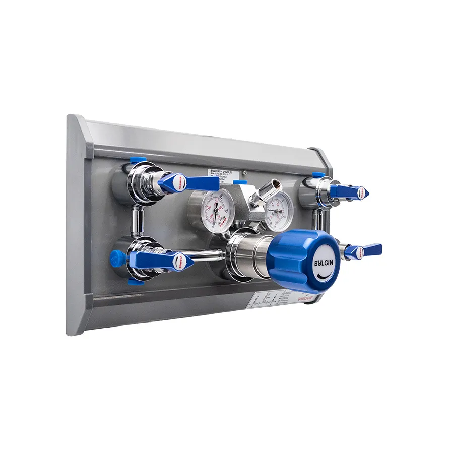 [642-25002] High Purity Panel - Twin, Chrome Plated Inlet 20,000kPa Outlet 0-1,000kPa_2_Web.webp