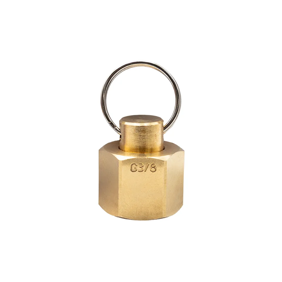 [647-15001] Brass Blanking Plug G3-8 RH_2_Web.webp