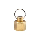 [647-15001] Brass Blanking Plug G3-8 RH_2_Web.webp