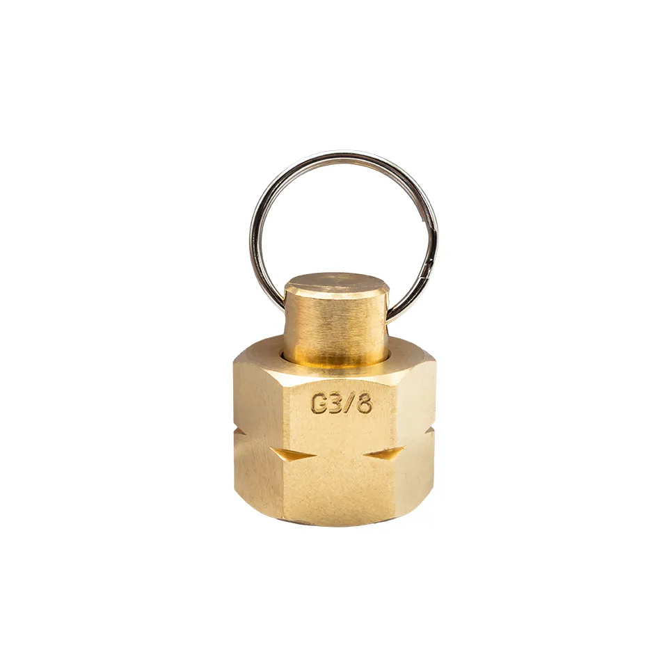 [647-15002] Brass Blanking Plug G3-8 LH_2_Web.webp