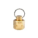 [647-15002] Brass Blanking Plug G3-8 LH_2_Web.webp