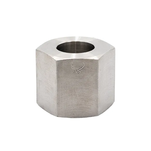 SS316 Type 50 Nut AS2473.2