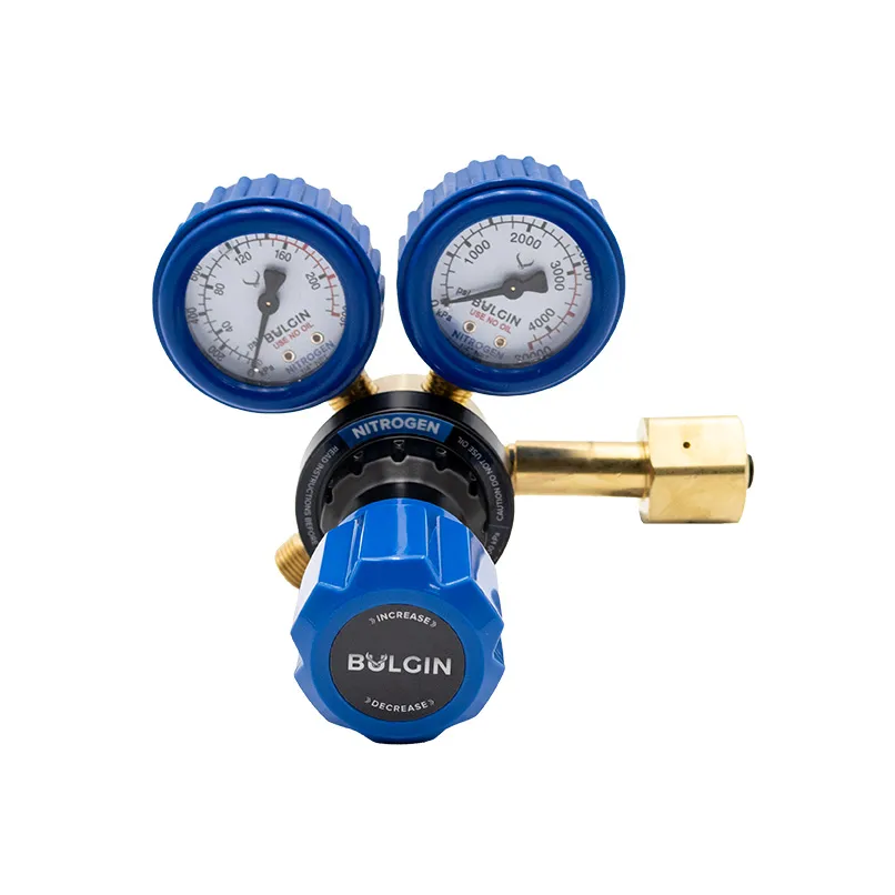 [540-00005] Nitrogen Regulator 0-1,000kPa Side Entry Type 50 AS 4267