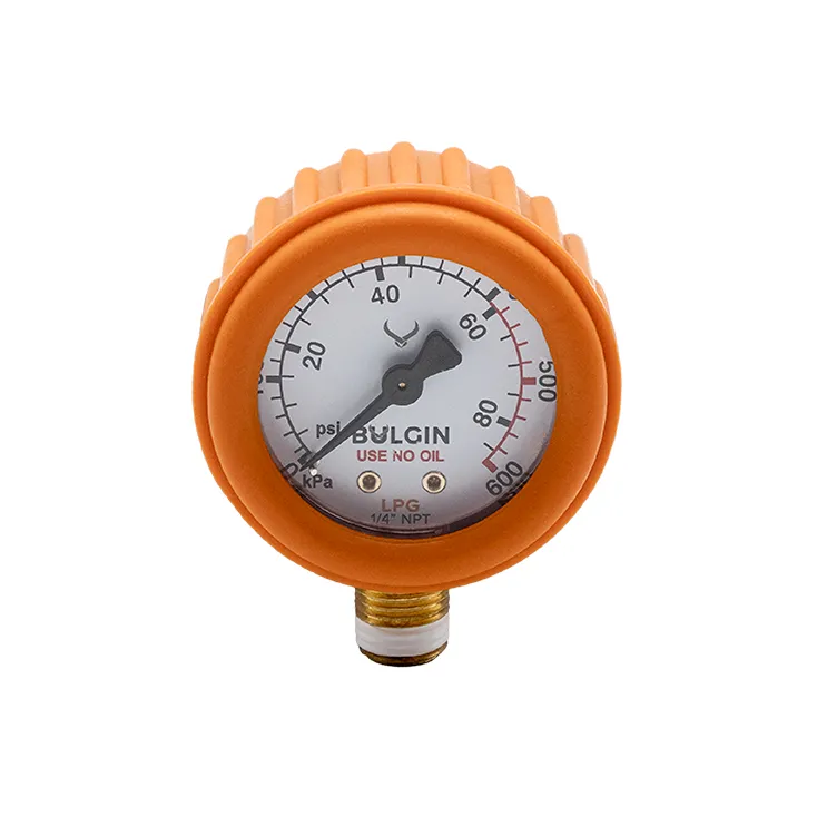 Bulgin Pressure Gauge LPG 0-600kPa 1/4" NPT Male Bottom Entry
